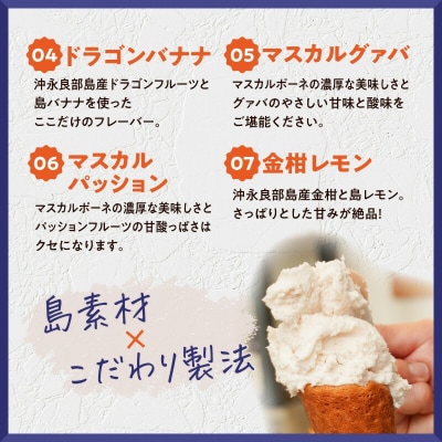 POWER GELATO 沖永良部島産 ミックスセット 6個入り