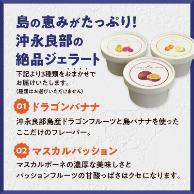 POWER GELATO 沖永良部島産 季節限定セット 6個入り