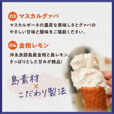 POWER GELATO 沖永良部島産 季節限定セット 6個入り