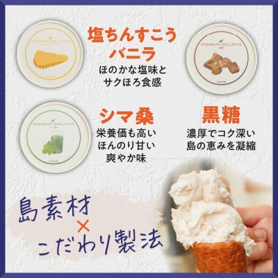 POWER GELATO 沖永良部島産 定番セット 6個入り