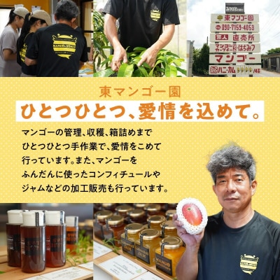 【2026年先行予約】≪ご家庭用≫東マンゴー園直送!完熟アップルマンゴー 2キロ(4～6玉)