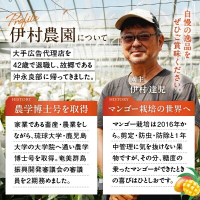【2026年先行予約】伊村農園こだわり栽培!完熟アップルマンゴー2キロ