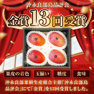 【2026年先行予約】訳あり 田中マンゴー園 完熟アップルマンゴー約2キロ(4～8玉)(ご家庭用)