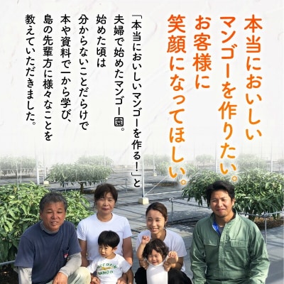 【2026年先行予約】訳あり 田中マンゴー園 完熟アップルマンゴー約2キロ(4～8玉)(ご家庭用)