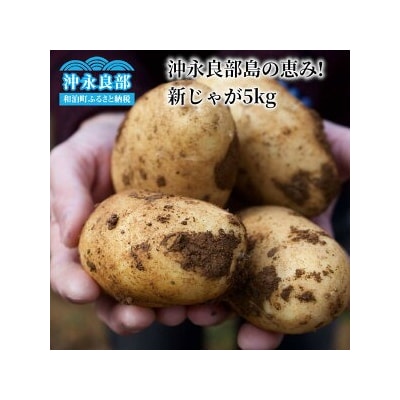 【2026年先行受付】沖永良部島の恵み!新じゃが 5kg
