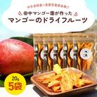 【先行受付】田中マンゴー園が作ったマンゴーのドライフルーツ 20g×5袋