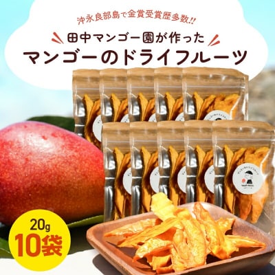 【先行受付】田中マンゴー園が作ったマンゴーのドライフルーツ 20g×10袋