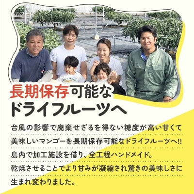 【先行受付】田中マンゴー園が作ったマンゴーのドライフルーツ 20g×10袋