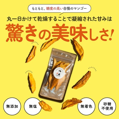 【先行受付】田中マンゴー園が作ったマンゴーのドライフルーツ 20g×10袋