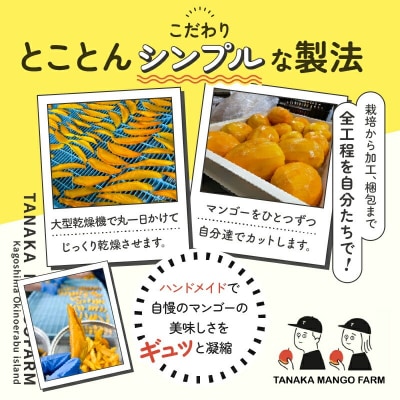 【先行受付】田中マンゴー園が作ったマンゴーのドライフルーツ 20g×10袋