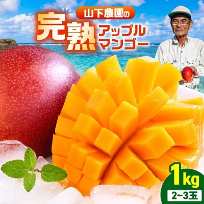 【2026年先行受付】甘い香りの贈り物!山下農園の完熟アップルマンゴー 1kg(2～3玉)