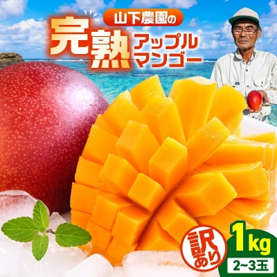 【2026年先行受付】【訳あり】甘い香りの贈り物!山下農園の完熟アップルマンゴー 1kg(2～3玉)