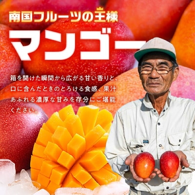 【2026年先行受付】【訳あり】甘い香りの贈り物!山下農園の完熟アップルマンゴー 1kg(2～3玉)