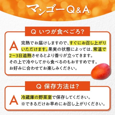 【2026年先行受付】【訳あり】甘い香りの贈り物!山下農園の完熟アップルマンゴー 2kg(4～6玉)