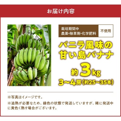栽培期間中 農薬・除草剤・化学肥料不使用!バニラ風味の甘い島バナナ 3キロ
