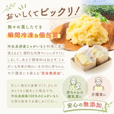 沖永良部産じゃがいも100%!ていねいに仕上げた無添加マッシュポテト 90g×10個