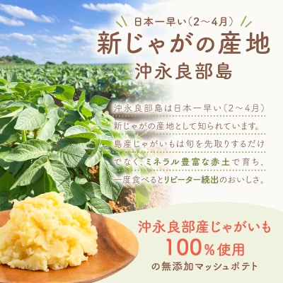 沖永良部産じゃがいも100%!ていねいに仕上げた無添加マッシュポテト 90g×20個