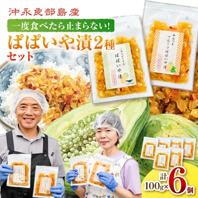 2種6個セット!一度食べたら止まらない!沖永良部島産のぱぱいや漬