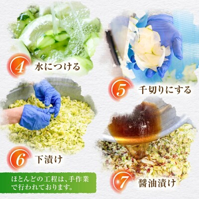 2種6個セット!一度食べたら止まらない!沖永良部島産のぱぱいや漬
