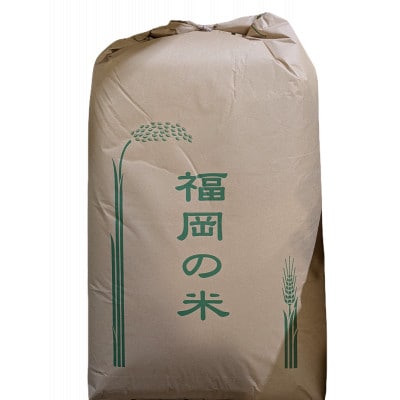 小竹町産夢つくし 30kg 玄米 生産農家から直接お届けします