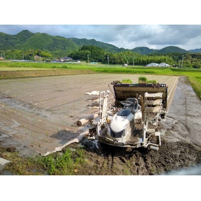 【2ヵ月毎定期便】有機JAS認定の小さな竹美人白米4kgを2ヵ月毎にお届け!半年分です。全3回