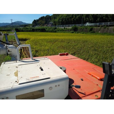 【毎月定期便】有機JAS認定の小さな竹美人 白米×4kg全12回