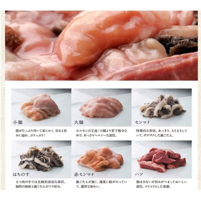 元祖もつ鍋楽天地3~4人用大容量国産牛モツ600g(小竹町)