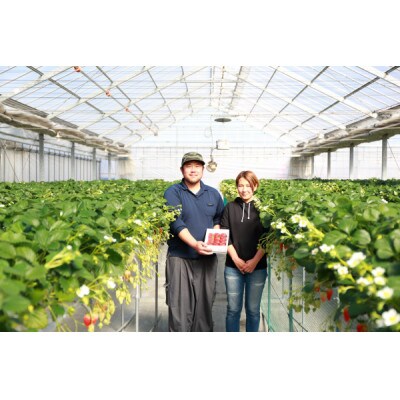 ノンアルコール 甘酒 130g×3本 いちご味×3本 計6本 飲み比べセット 無添加 川島町産いちご