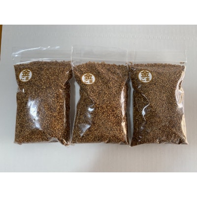 希少な国産!【金ごま】500g(100g×5パック)