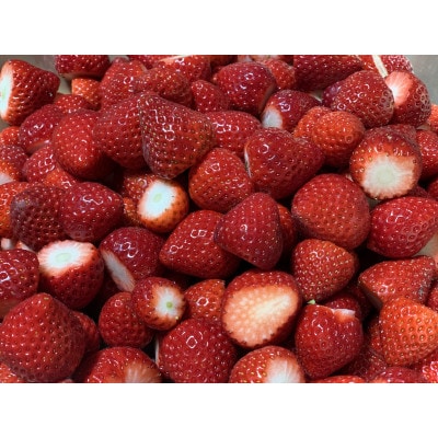 【希少あまりん】冷凍いちご1kg