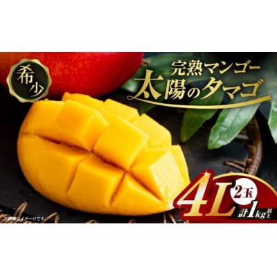 太陽のタマゴ (4L×2玉) 完熟マンゴー 最高級ブランド 糖度15度以上 計約1kg(日南)