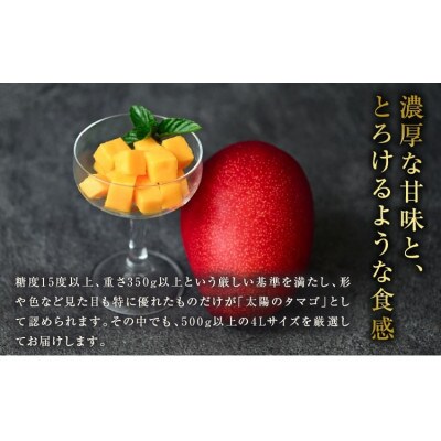 太陽のタマゴ (4L×2玉) 完熟マンゴー 最高級ブランド 糖度15度以上 計約1kg(日南)
