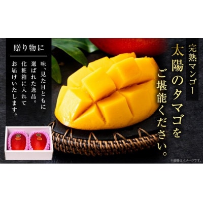 太陽のタマゴ (4L×2玉) 完熟マンゴー 最高級ブランド 糖度15度以上 計約1kg(日南)
