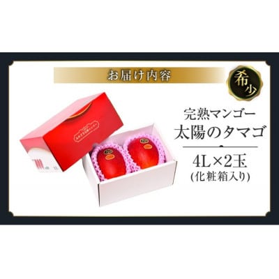 太陽のタマゴ (4L×2玉) 完熟マンゴー 最高級ブランド 糖度15度以上 計約1kg(日南)