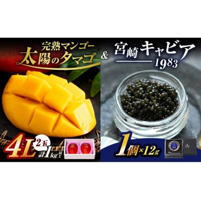 太陽のタマゴ (4L×2玉) & 宮崎キャビア1983 (12g)(日南)【複数個口で配送】