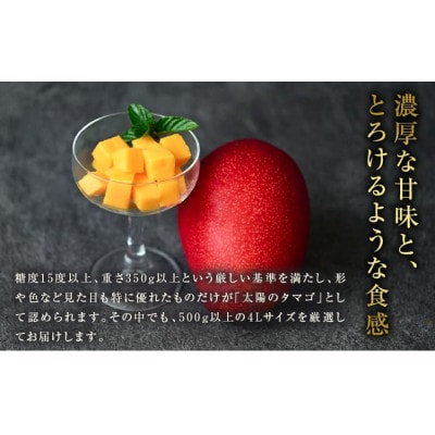 太陽のタマゴ (4L×2玉) & 宮崎キャビア1983 (12g)(日南)【複数個口で配送】