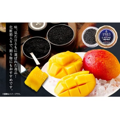 太陽のタマゴ (4L×2玉) & 宮崎キャビア1983 (12g×2個)(日南)【複数個口で配送】