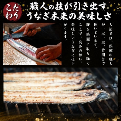 職人手焼きうなぎ　1匹【有限会社大清】