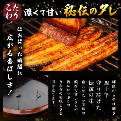 職人手焼きうなぎ　1匹【有限会社大清】