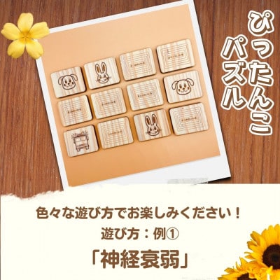≪木の温もり≫知育玩具(おもちゃ)ぴったんこパズル