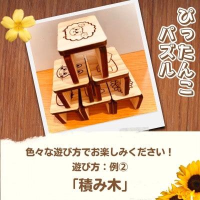 ≪木の温もり≫知育玩具(おもちゃ)ぴったんこパズル
