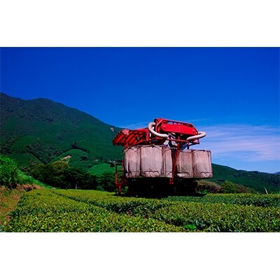 宮崎発!4種のオーガニック茶セット340g