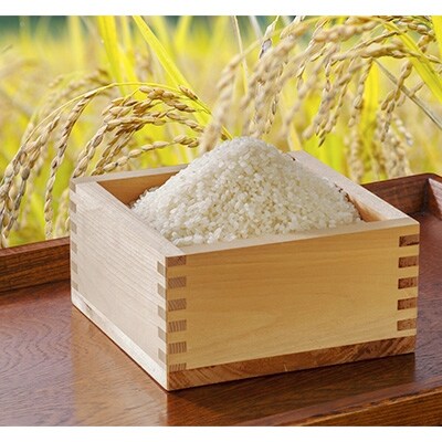 【早場米】日南産こしひかり(5kg×2袋)