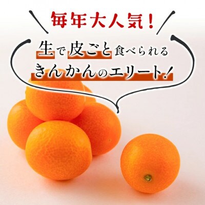 【先行予約】 数量限定 完熟きんかん たまたま 計 約3kg (約3kg×1箱)