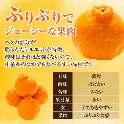 【先行予約】数量限定 不知火 約3kg 化粧箱入り