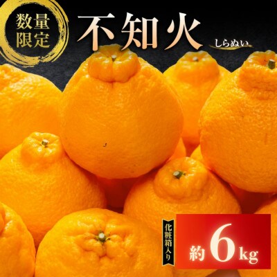 【先行予約】数量限定 不知火 約6kg 化粧箱入り