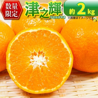 【先行予約】数量限定 津之輝 つのかがやき 約2kg(約2kg×1箱)