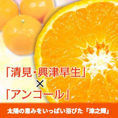 【先行予約】訳あり 数量限定 津之輝 つのかがやき 約5kg (約5kg×1箱)