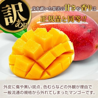 【期間限定】訳あり 宮崎県産 完熟マンゴー 約1.8kg