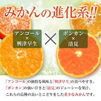 【年内発送】訳あり 西南のひかり 計5kg 希少